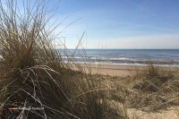Strand Noordwijk Niederlande