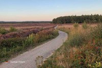 Ginkelse Heide Niederlande