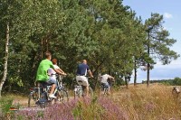 Utrechter Hügelrücken Niederlande