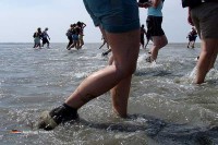 Wattwandern mit Kindern in den Niederlanden
