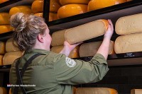 Käserei besuchen in Holland