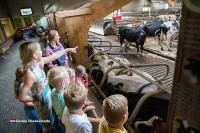 Tagesausflug in Overijssel Holland