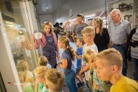 Führungen Milchviehhaltung und Käserei in den Niederlanden