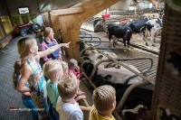 Tagesausflug in Overijssel Niederlande