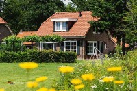 Ferienwohnung mieten in den Niederlanden