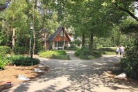 Bei Bosvillapark Eureka in Holland finden Sie unterschiedliche luxuriöse Ferienhäuser