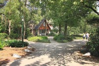 Bei Bosvillapark Eureka in den Niederlanden finden Sie unterschiedliche luxuriöse Ferienhäuser
