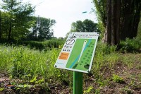 Hotel mit Golf Niederlande