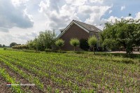 Zimmerfrei im freien in Holland