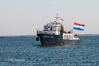 Robben beobachten im Wattenmeer Holland