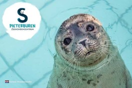 Seehundzentrum Pieterburen