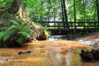 Hotel in Limburg Holland nahe Wald und Natur