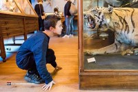 Museum besuchen in Friesland Holland