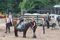 Familiencampingplatz in Holland