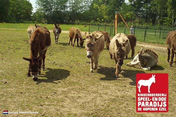 De Koperen Ezel /Ausflug in die Veluwe mit der gesamten Familie.
