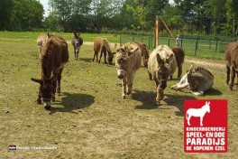 De Koperen Ezel /Ausflug in die Veluwe mit der gesamten Familie. 