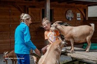 Streichelzoo Camping Geuldal Limburg