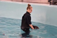 Auffangstation und Erholungszentrum für Meeressäuger in Holland besuchen