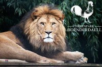 Tiergarten Hoenderdaell