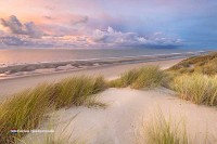 Hotel an der Nordseeküste in Holland