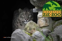 Tierpark Zie-ZOO Volkel Niederlande
