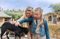 Aktivitäten WILDLANDS Adventure Zoo Holland