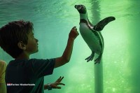 Wildlands Tierpark in Holland