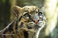 Zoo Holland