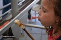 Spielplatz Dieren Niederlande