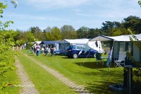 Camping Op den Diesdonk bietet großzügige Stellplätze auf gepflegten Wiesen in den Niederlanden