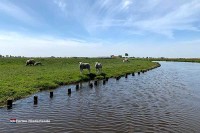 Boot mieten nahe Amsterdam