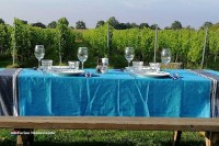 Bei Bed and Breakfast De Wijnstaete steht faires und lokales Essen im Mittelpunkt mit Wein vom eigenen Weinberg