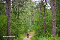 Umgebung des Ferienparks Duinrust in Holland