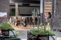 Landhof Hotel Restaurant in den Niederlanden
