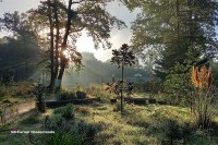 Wanderwege, Labyrinth und Themenpfade im Freilichtmuseum Holland