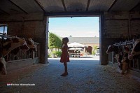 Landhotel in Holland