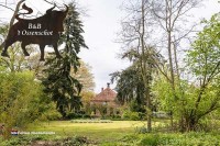 Bed and Breakfast Ossenschot