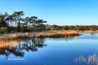 Camping in Overijssel Holland