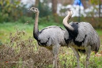Ausflug in Limburg Niederlande
