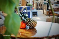 Strandterrasse Solbeach Scheveningen Niederlande
