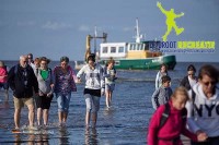 Rundfahrt Wattenmeer Niederlande