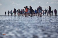 Wattwandern Niederlande
