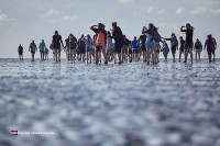 Wattwandern Holland Niederlande