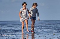 Wattwandern Wattenmeer Holland Niederlande