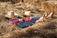 eigenes Pferd mitbringen auf Ferien Urlaub Niederlande