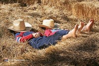 eigenes Pferd mitbringen auf Ferien Urlaub Holland Niederlande