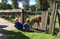 Streichelzoo Camping Niederlande