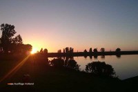 Oostvaardersplassen Niederlande