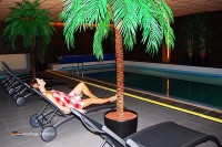 Badehaus mit Schwimmbad und Sauna Hotel Waddenweelde Niederlande