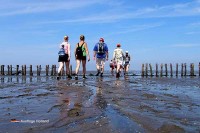 Hotel Waddenweelde ist der offizielle Startpunkt von Wattwandern Pieterburen Niederlande